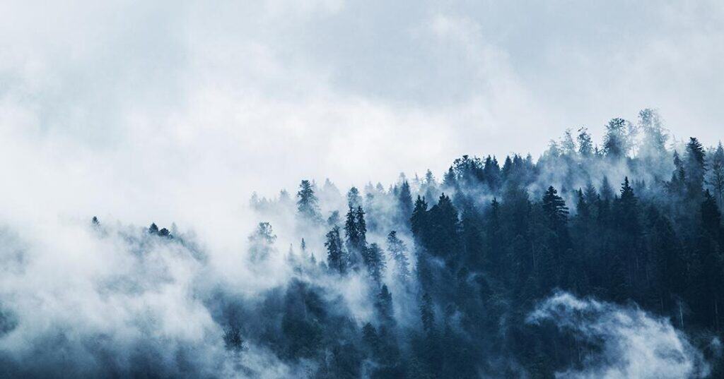 most_interesting_banner